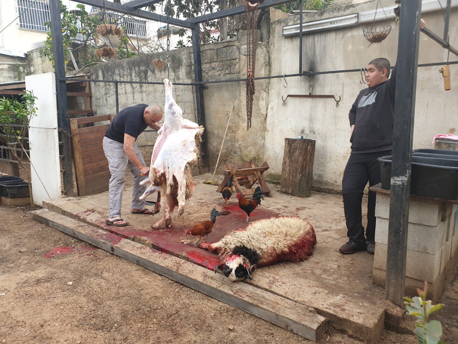 WhatsApp Image 2020-03-06 at 3.47.36 PM.jpeg.jpeg